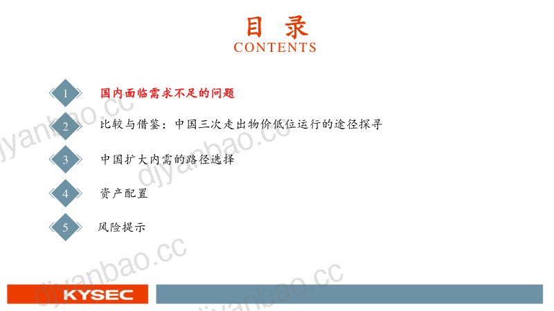 2025年宏观展望:中国扩大内需的路径选择-241205(44页) 第3页