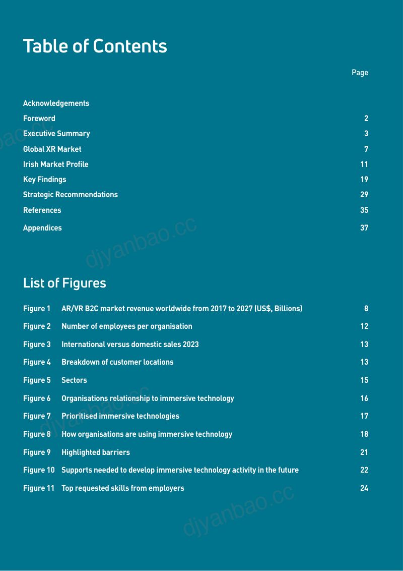 CCIS & Eirmersive:2024爱尔兰沉浸式技术增长战略报告(英文版)(44页) 第3页