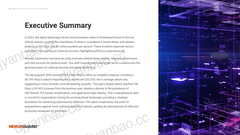 NexusGuard：DDoS趋势报告2024（英文版）（40页） 第3页