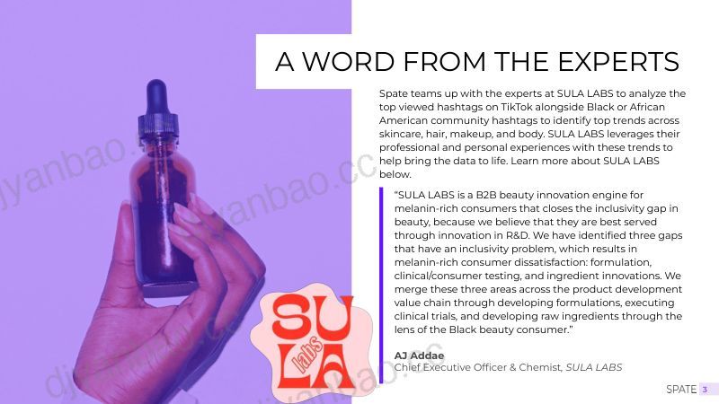 Spate & SULA LABS:2024年TIKTOK黑人美容消费趋势报告(英文版)(29页) 第3页