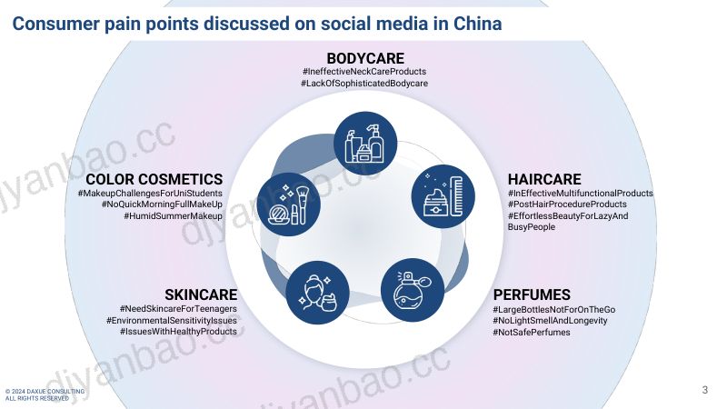 Daxue Consulting:2024年中国美容市场消费者痛点分析报告(英文版)(29页) 第3页