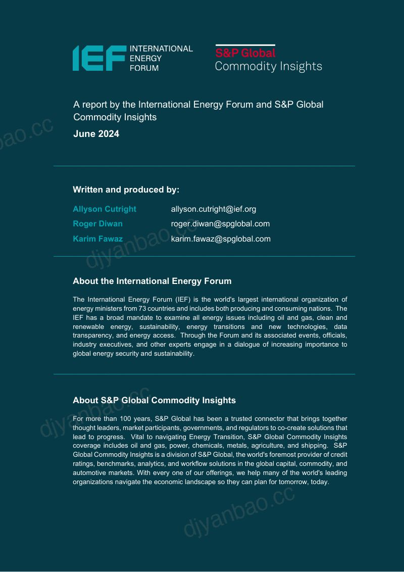 国际能源论坛（IEF）：2024年全球上游石油和天然气领域投资展望报告（英文版）（20页） 第2页