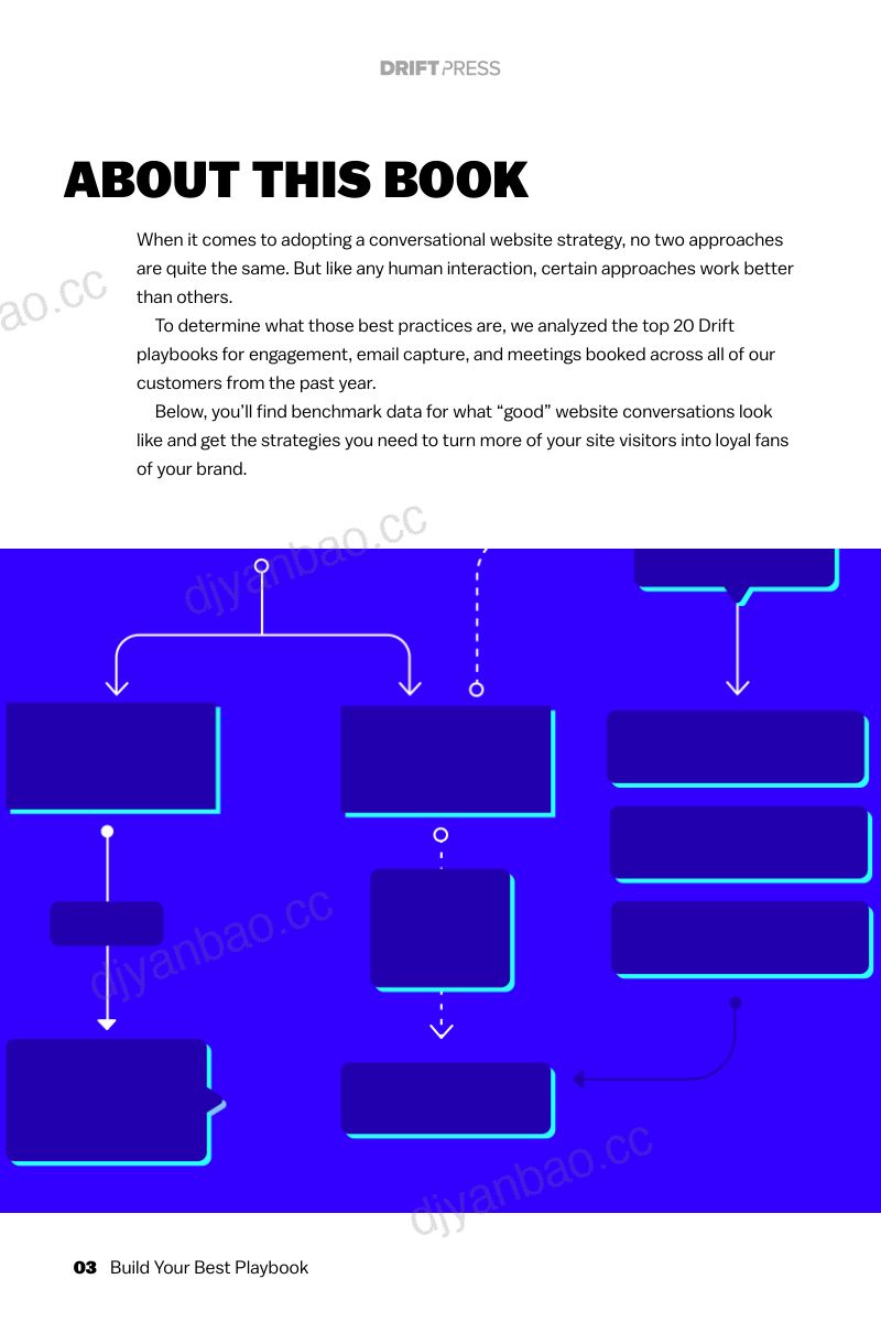 Drift：2024会话式网站策略分布指南（英文版）（26页） 第3页