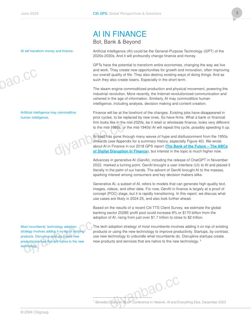 花旗银行（Citi GPS）：2024金融领域的人工智能研究报告（英文版）（124页） 第3页
