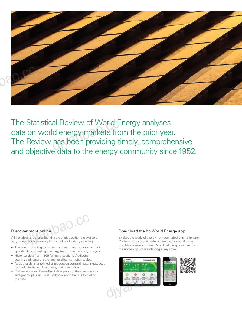 BP：2020世界能源统计年鉴（英文版）（66页） 第2页