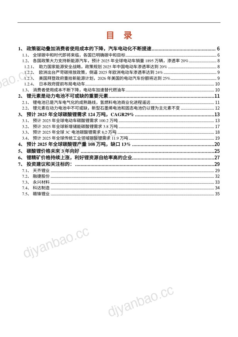 2021年全球碳酸锂供需情况及价格趋势分析报告(35页) 第2页