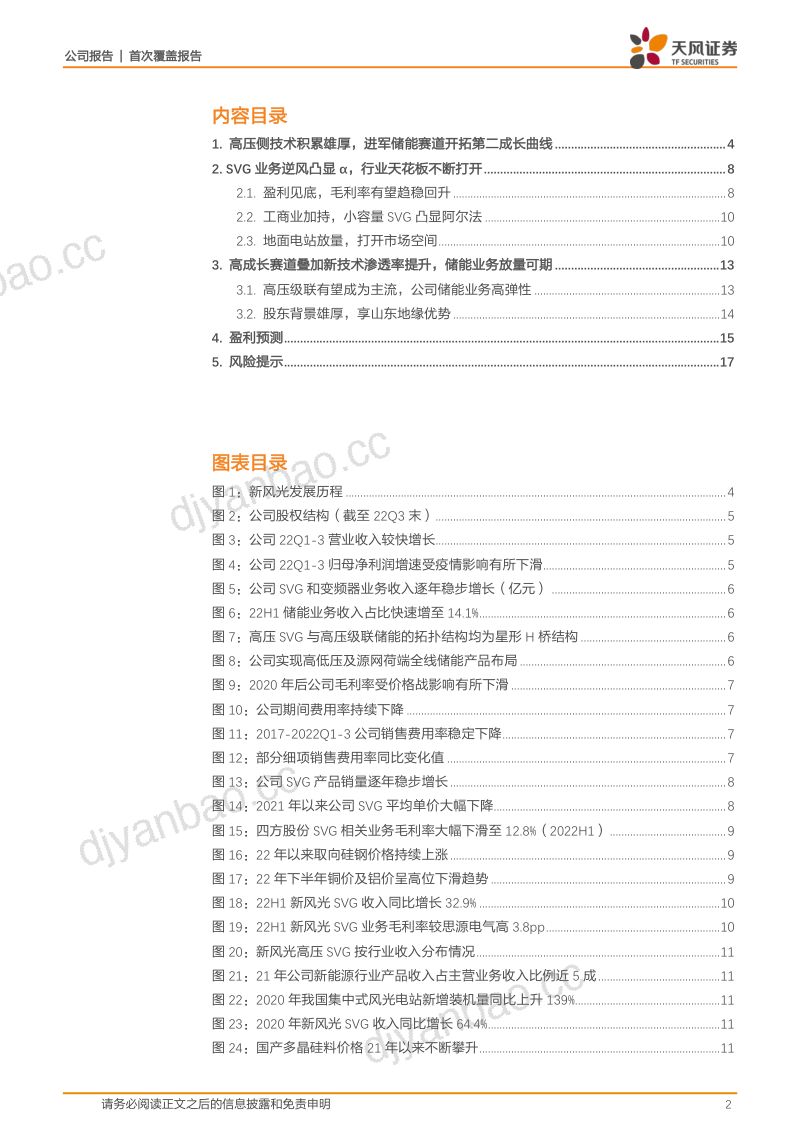 新风光-SVG逆风凸显阿尔法储能高压级联放量-221108(19页) 第2页