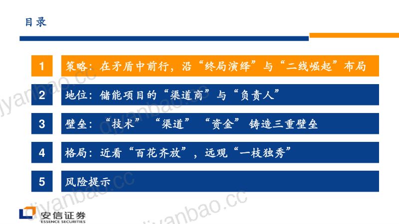 储能行业策略报告:储能集成近看“百花齐放”远观“一枝独秀”-230212(37页) 第3页