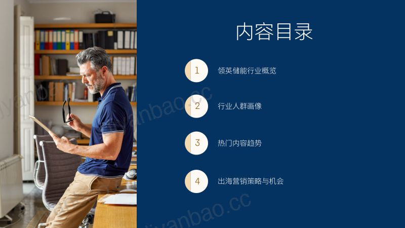 领英：2024储能行业全球营销数据洞察白皮书（21页） 第2页