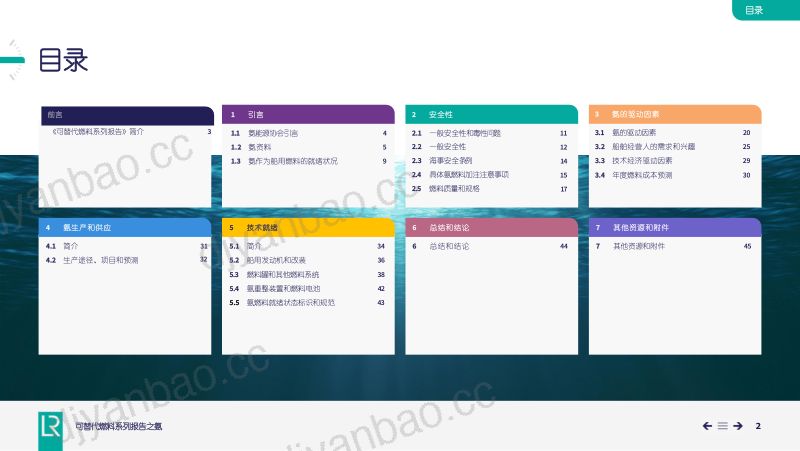 劳氏船级社:2024可替代燃料系列报告之氨燃料(48页) 第2页