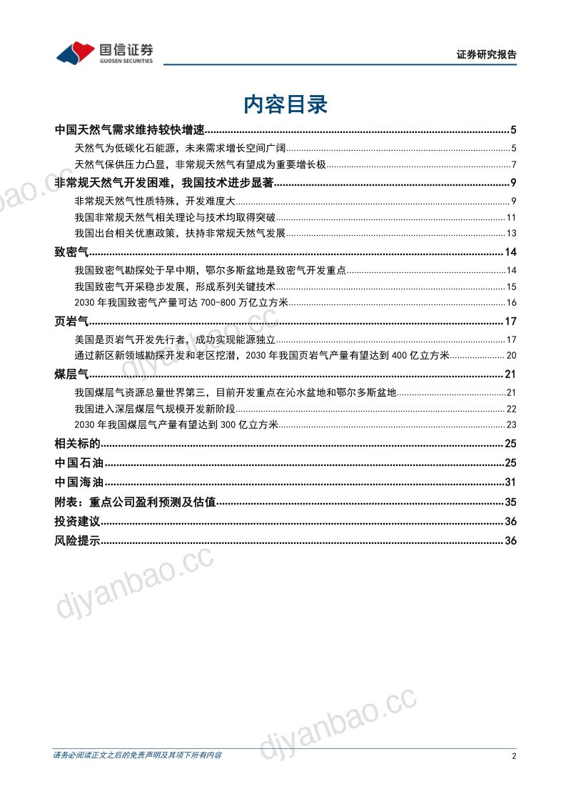 非常规天然气行业专题:非常规天然气成为重要增量龙头企业有望充分受益-240606(38页) 第2页