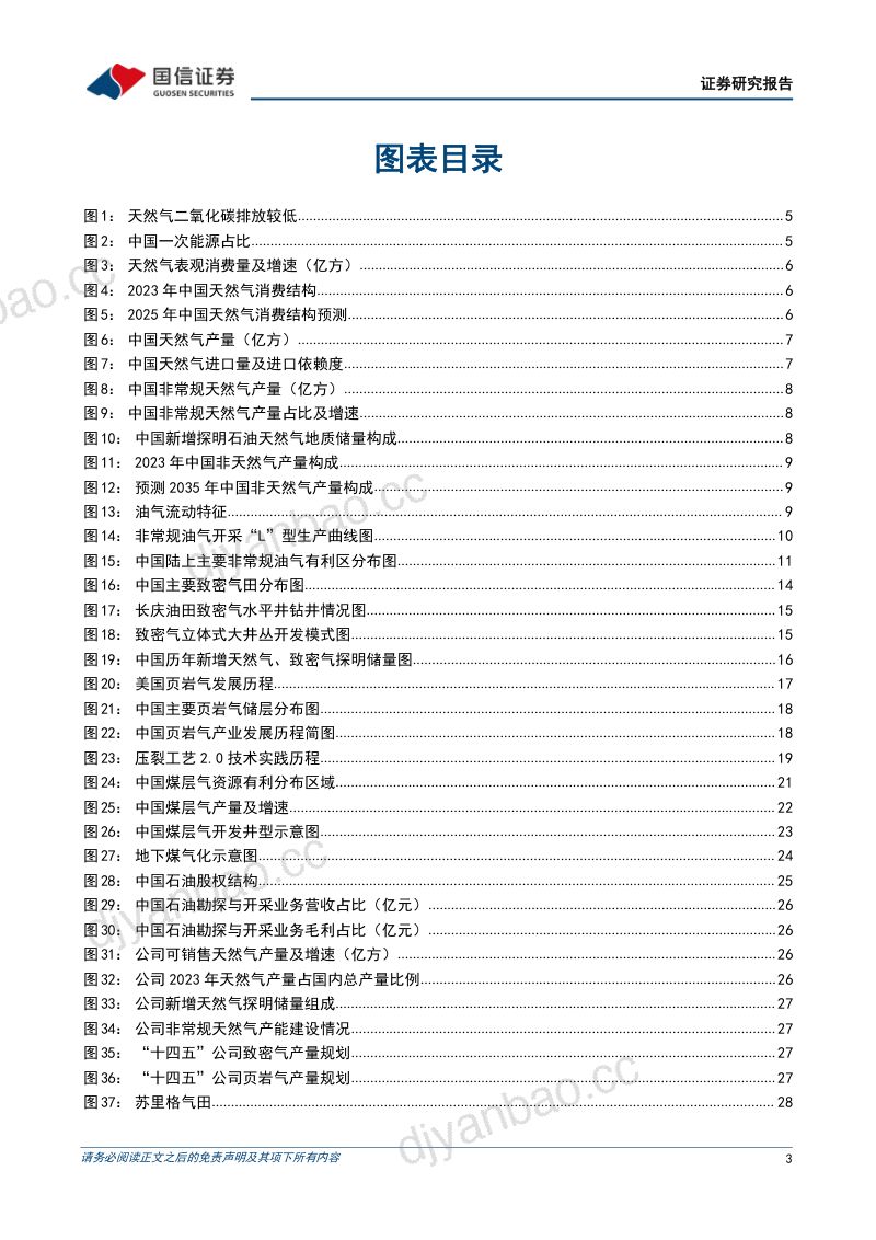 非常规天然气行业专题:非常规天然气成为重要增量龙头企业有望充分受益-240606(38页) 第3页