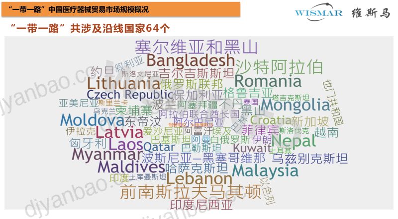 维斯马:2019年一带一路医疗行业进出口报告(11页) 第3页