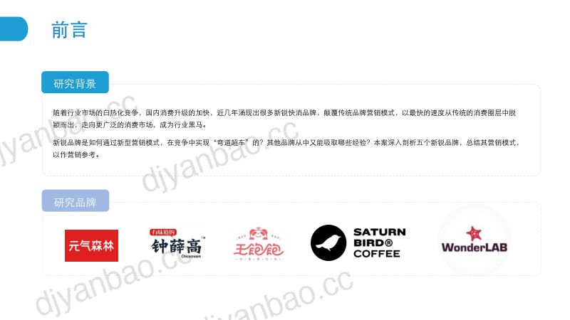 云锐集团:新锐快消品行业出图营销分析报告(97页) 第2页