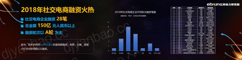 亿邦动力:2019社交电商白皮书(25页) 第3页