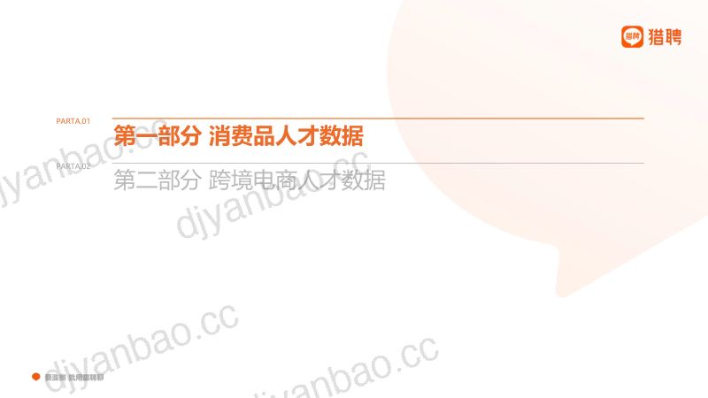 猎聘：2023消费品和跨境电商人才数据报告（24页） 第2页