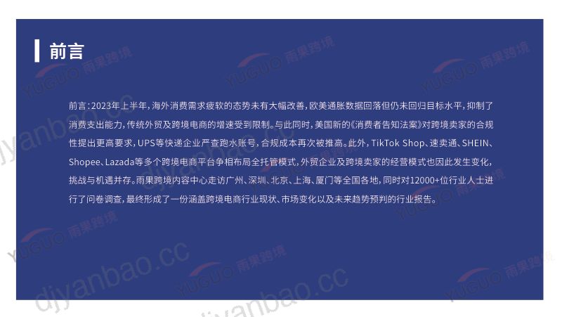 雨果跨境:2023上半年跨境电商行业趋势报告(38页) 第2页