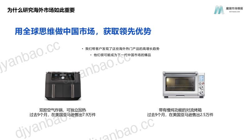 魔镜市场情报：2022年美国亚马逊平台家电市场机会点洞察报告（45页） 第3页