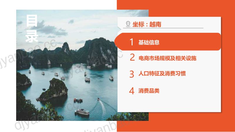 Shopee：2024越南电商市场概览报告（24页） 第2页
