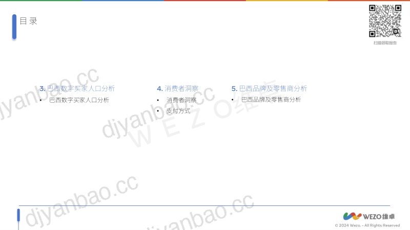 维卓:2024巴西零售和电子商务报告(下)(29页) 第2页