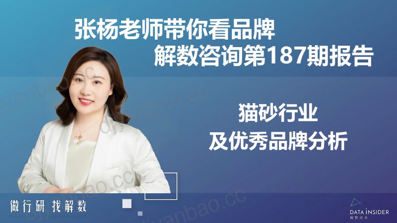 解数咨询：猫砂行业及优秀品牌分析（137页） 第2页
