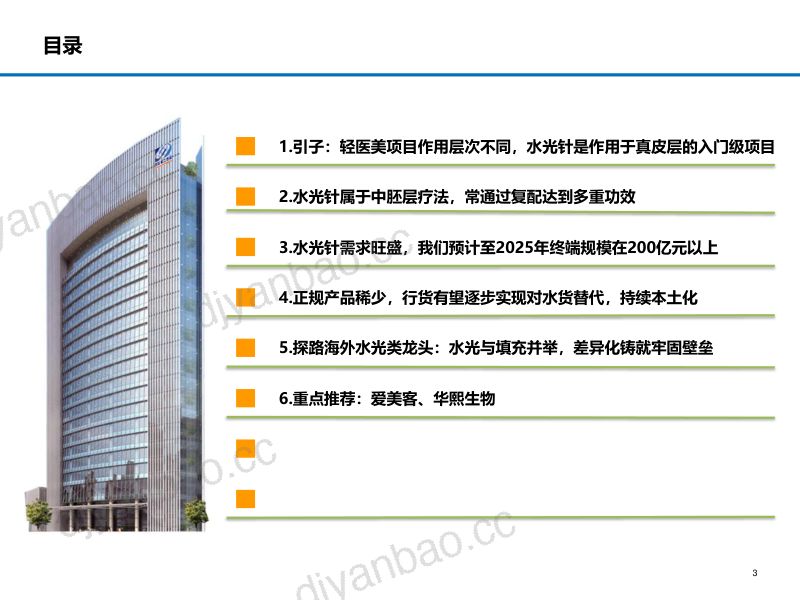 2021年中国医疗美容行业水光针产品介绍及需求趋势研究报告（58页） 第2页