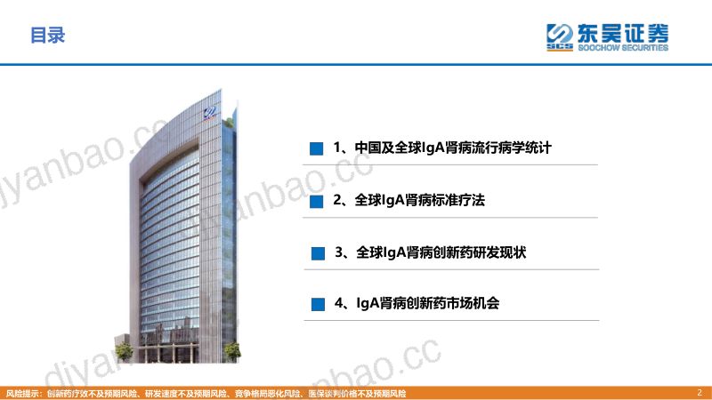 疾病透视行业:IgA肾病治疗中创新药的竞争格局分析-220908(26页) 第2页