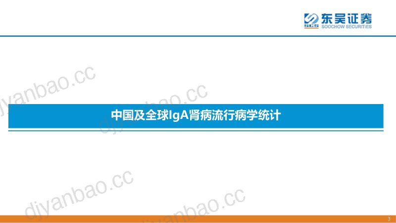 疾病透视行业:IgA肾病治疗中创新药的竞争格局分析-220908(26页) 第3页