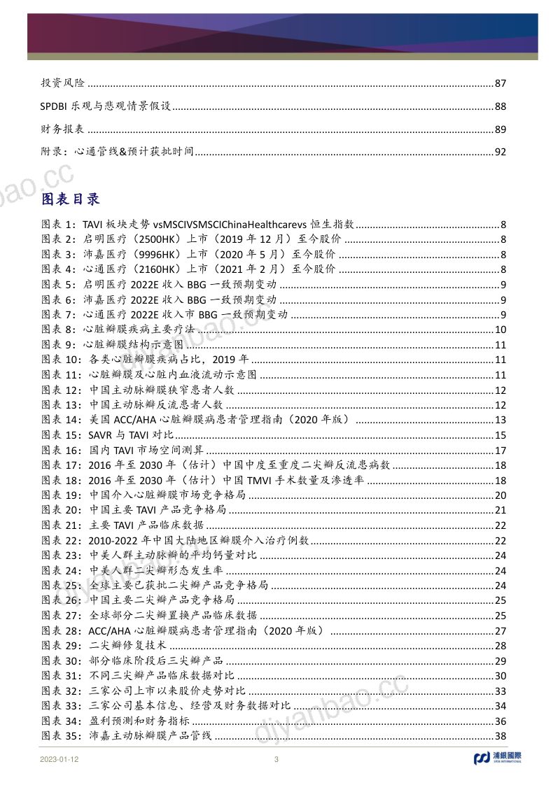 中国医疗行业：介入心脏瓣膜行业春归有期-230112（95页） 第3页