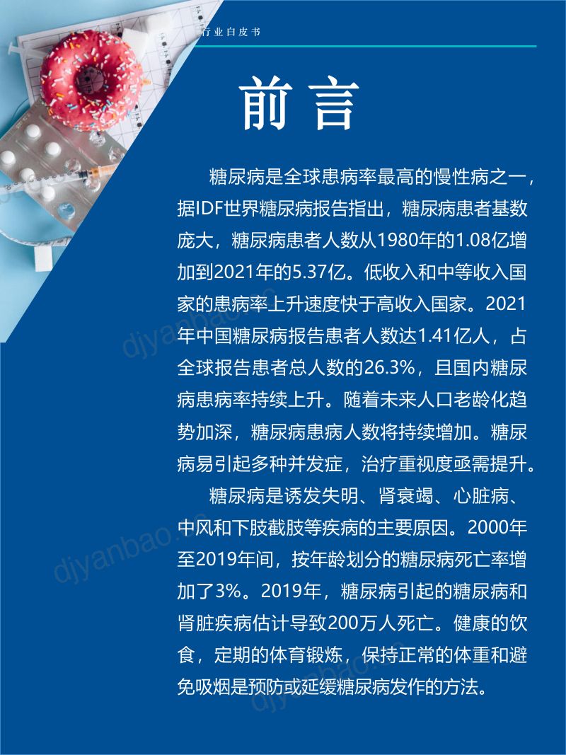 Fastdata极数：2023年中国血糖健康管理行业白皮书（67页） 第2页