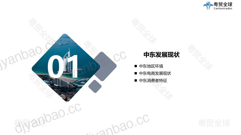 粤贸全球:2022年中东跨境电商平台分析报告(27页) 第3页