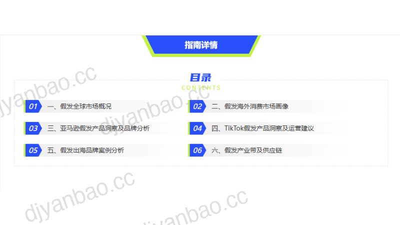 雨果跨境:2024假发品类出海指南(31页) 第2页