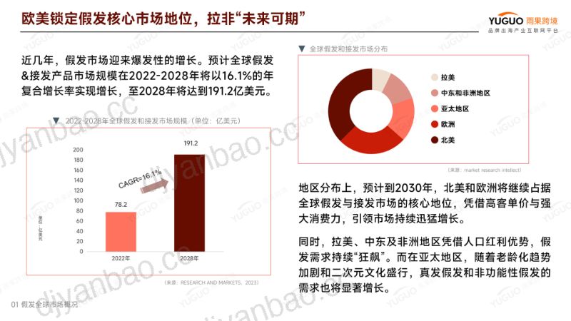 雨果跨境:2024假发品类出海指南(31页) 第3页