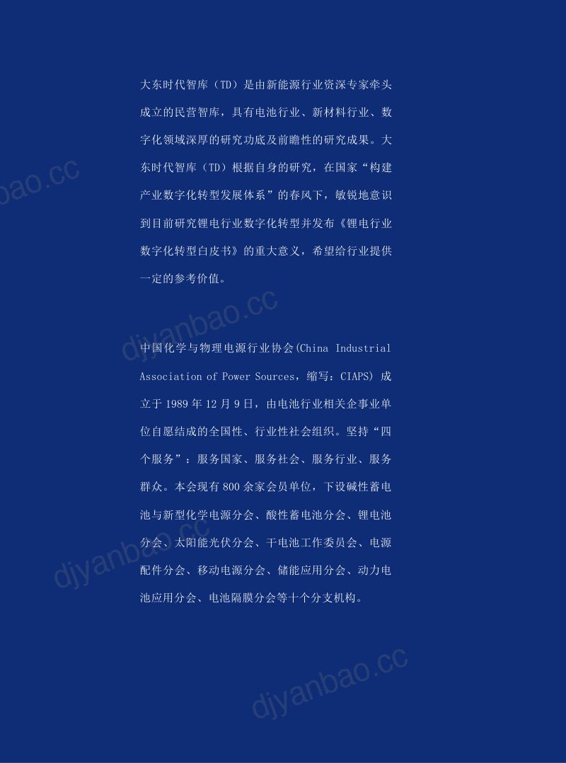 大东时代：2023锂电材料数字化转型白皮书（34页） 第2页