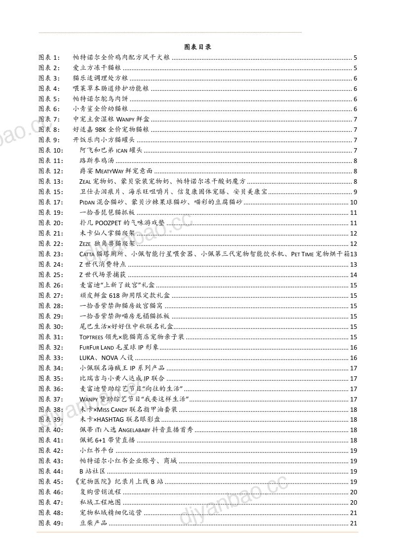 2021年新消费行业国产宠物品牌创新分析报告(27页) 第3页