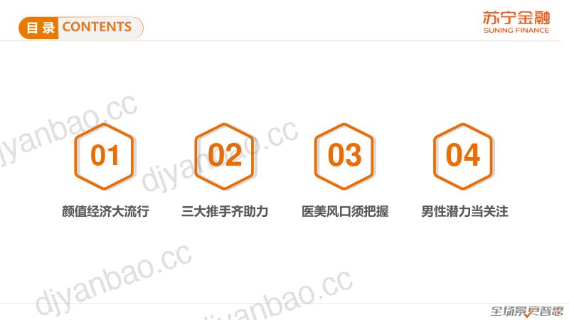 苏宁金融:颜值经济报告:美颜美妆玻尿酸(32页) 第2页