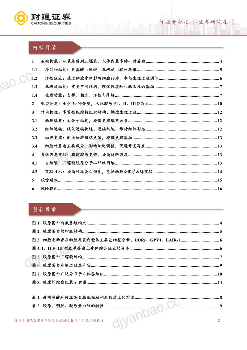 美容护理行业胶原蛋白系列之一:结构、功能、自组装与交联-240118(17页) 第2页
