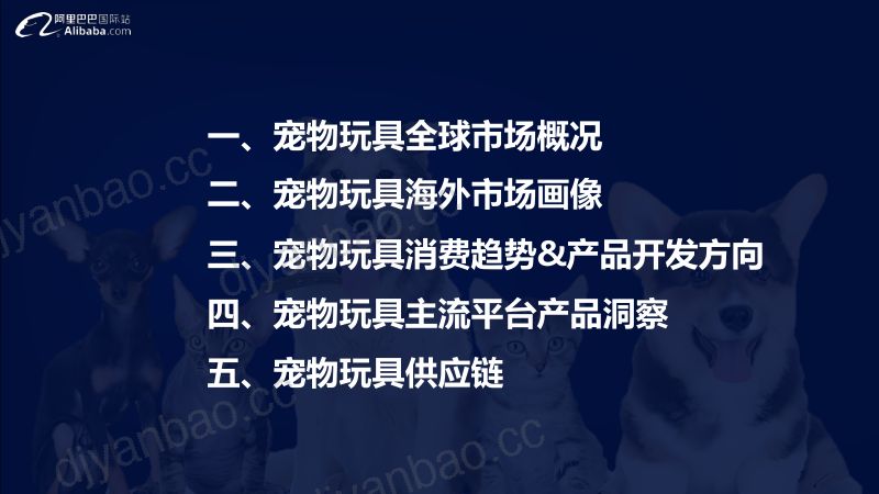 阿里巴巴国际站:2024宠物行业宠物玩具全球趋势报告(18页) 第2页