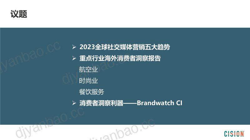 Cision：2023全球数字营销和消费趋势洞察报告（29页） 第2页