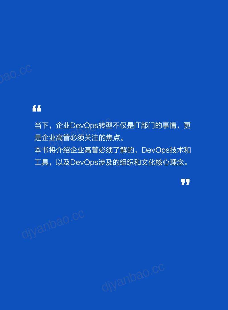 灵雀云:2022企业高管IT战略指南-企业为何要落地DevOps(18页) 第2页