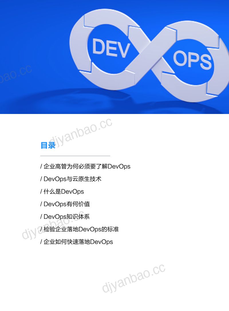 灵雀云:2022企业高管IT战略指南-企业为何要落地DevOps(18页) 第3页