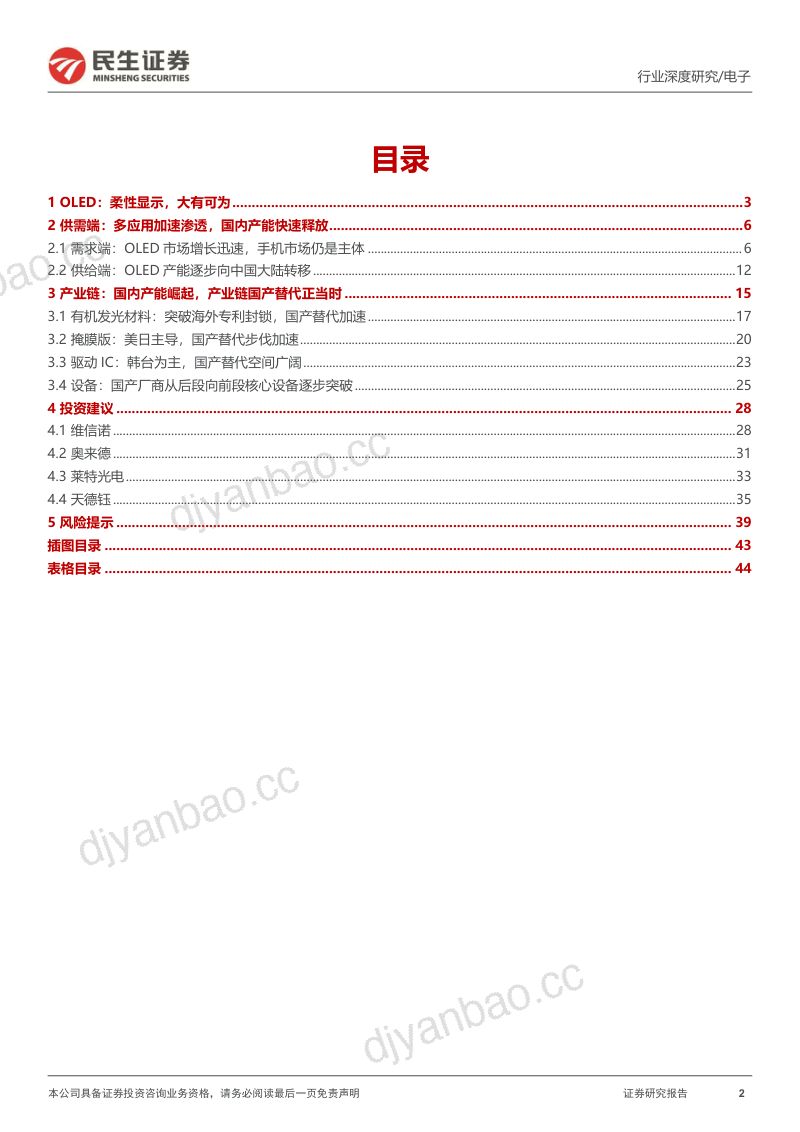 OLED行业深度报告:OLED黄金时代开启产业链国产替代正当时-231123(45页) 第2页