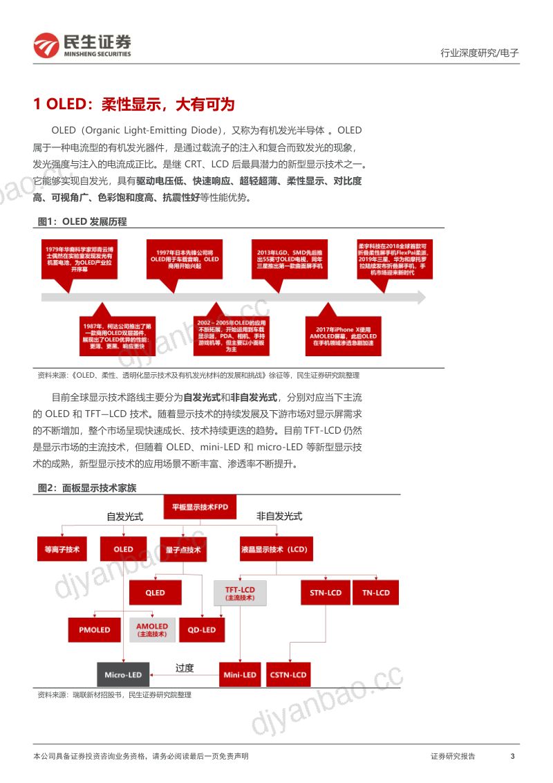 OLED行业深度报告:OLED黄金时代开启产业链国产替代正当时-231123(45页) 第3页