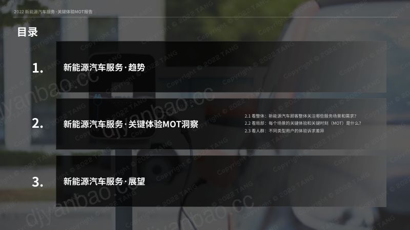 唐硕:2022新能源汽车服务-关键体验MOT报告(50页) 第2页