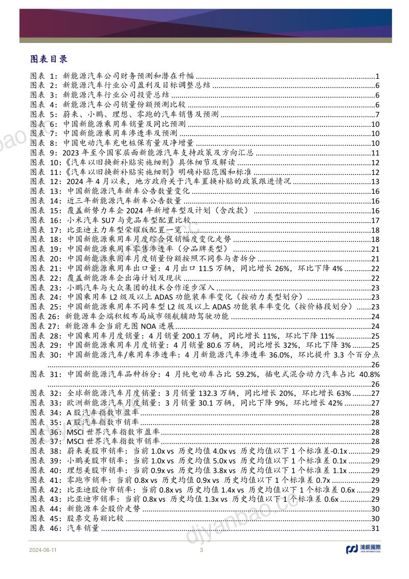 新能源汽车行业投资手册系列报告(十):竞争不止成长不息-240611(70页) 第3页