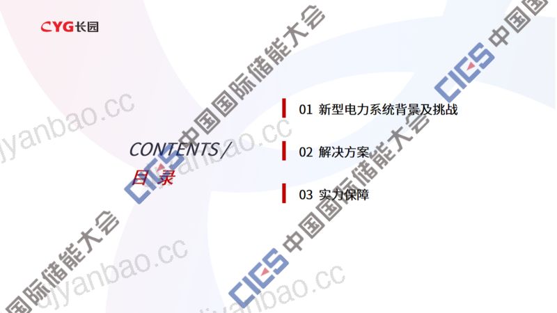 10-李微佳 长园能源《主动支撑型储能系统解决方案》 第2页