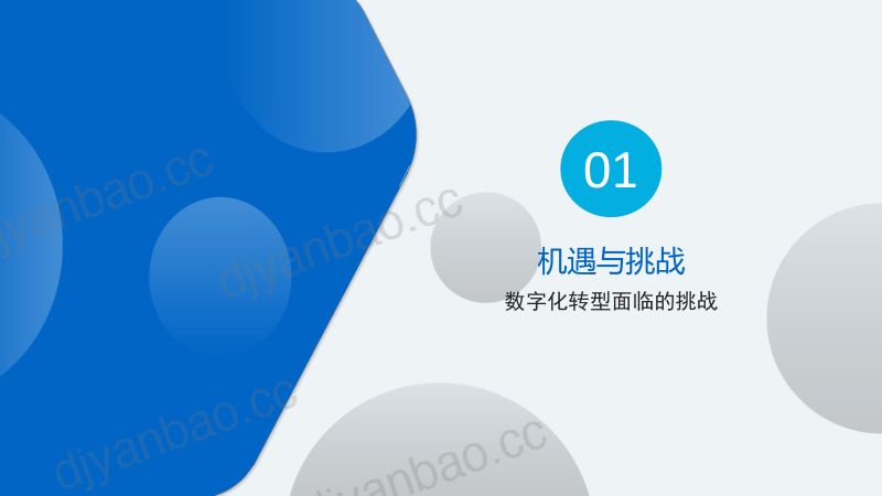 林鸿-赋能:打造具有内生动力的敏捷银行 第3页