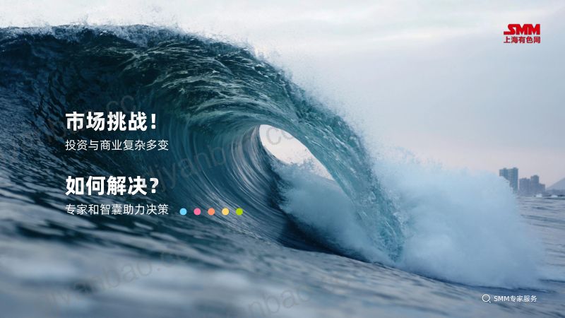 周柏-SMM专家服务——让行业专家触手可及 第2页
