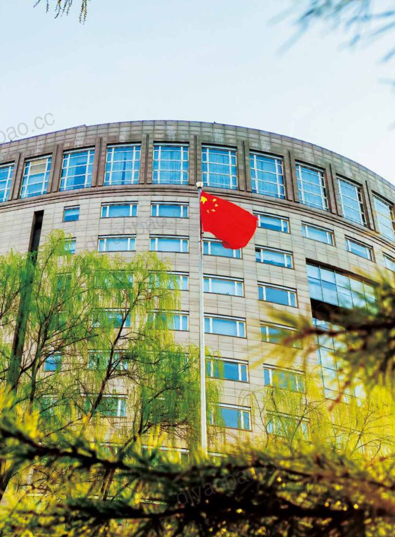 国家知识产权局：国家知识产权局2022年度报告（133页） 第2页