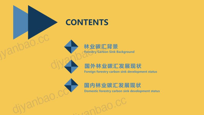 碳汇宝:2023国内外林业碳汇发展现状报告(17页) 第2页